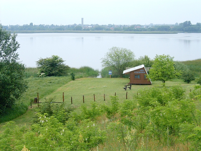 20100530 002.jpg